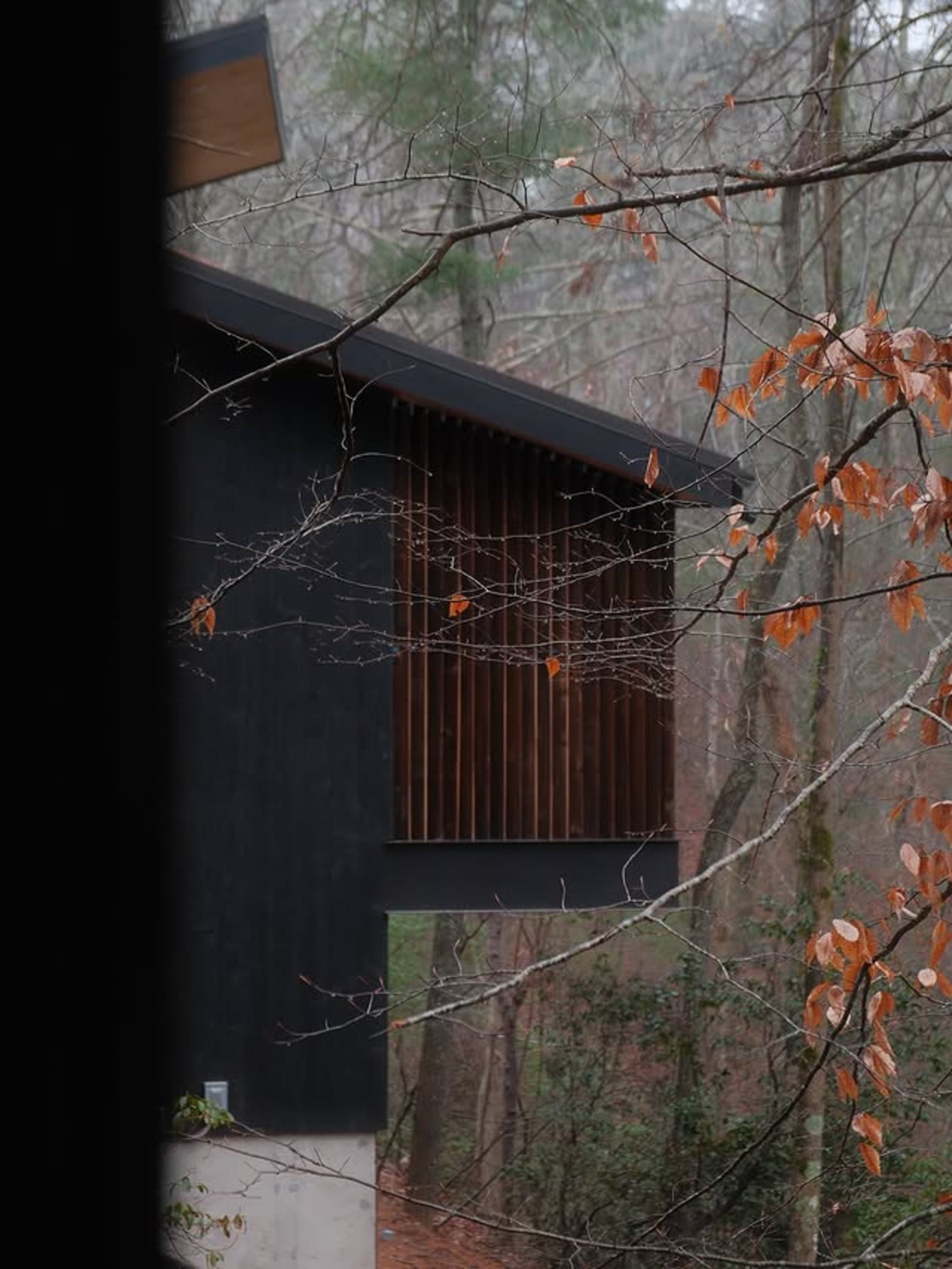 Cypress Resort luxury villa exterior with panoramic forest views