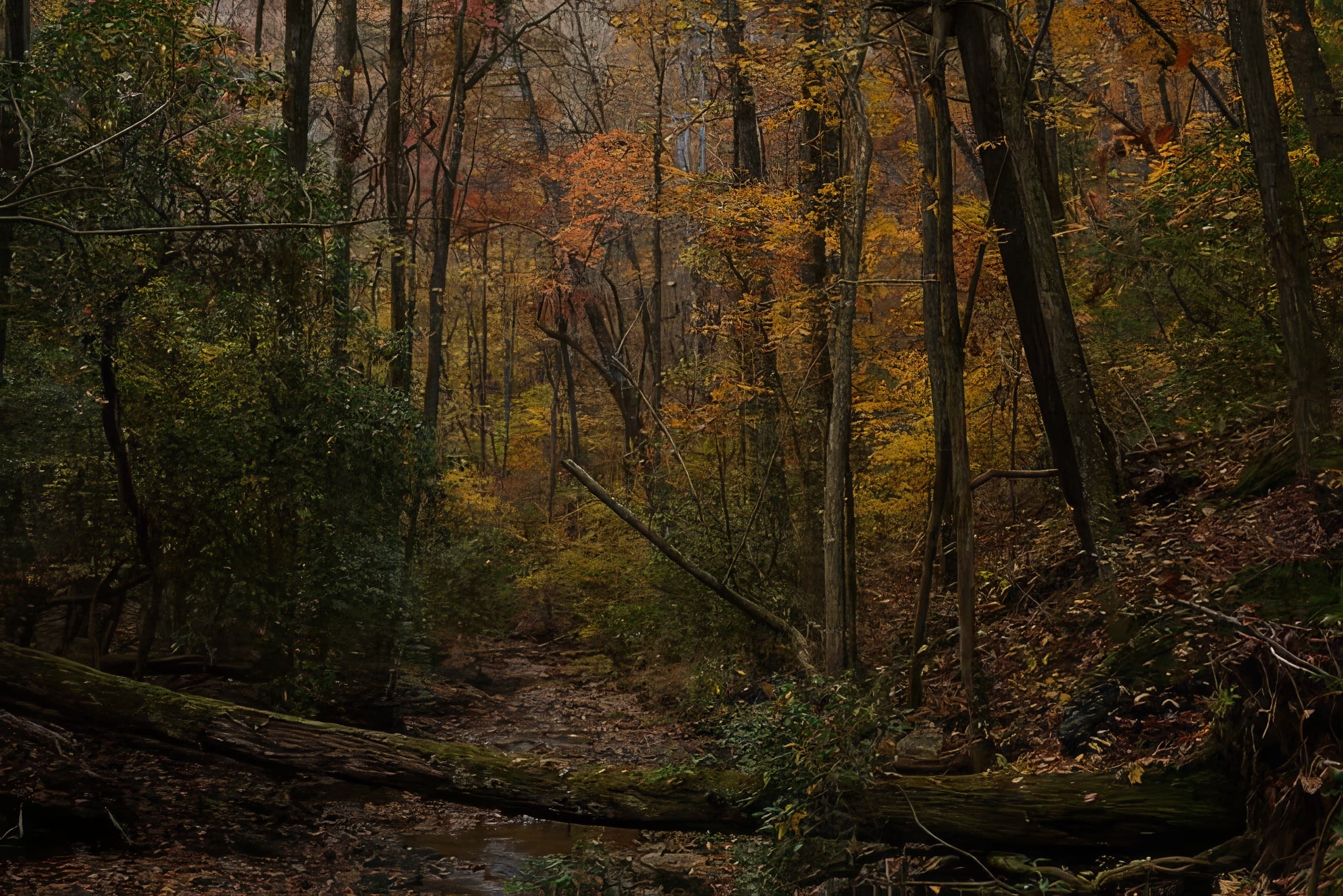 Nature Trails